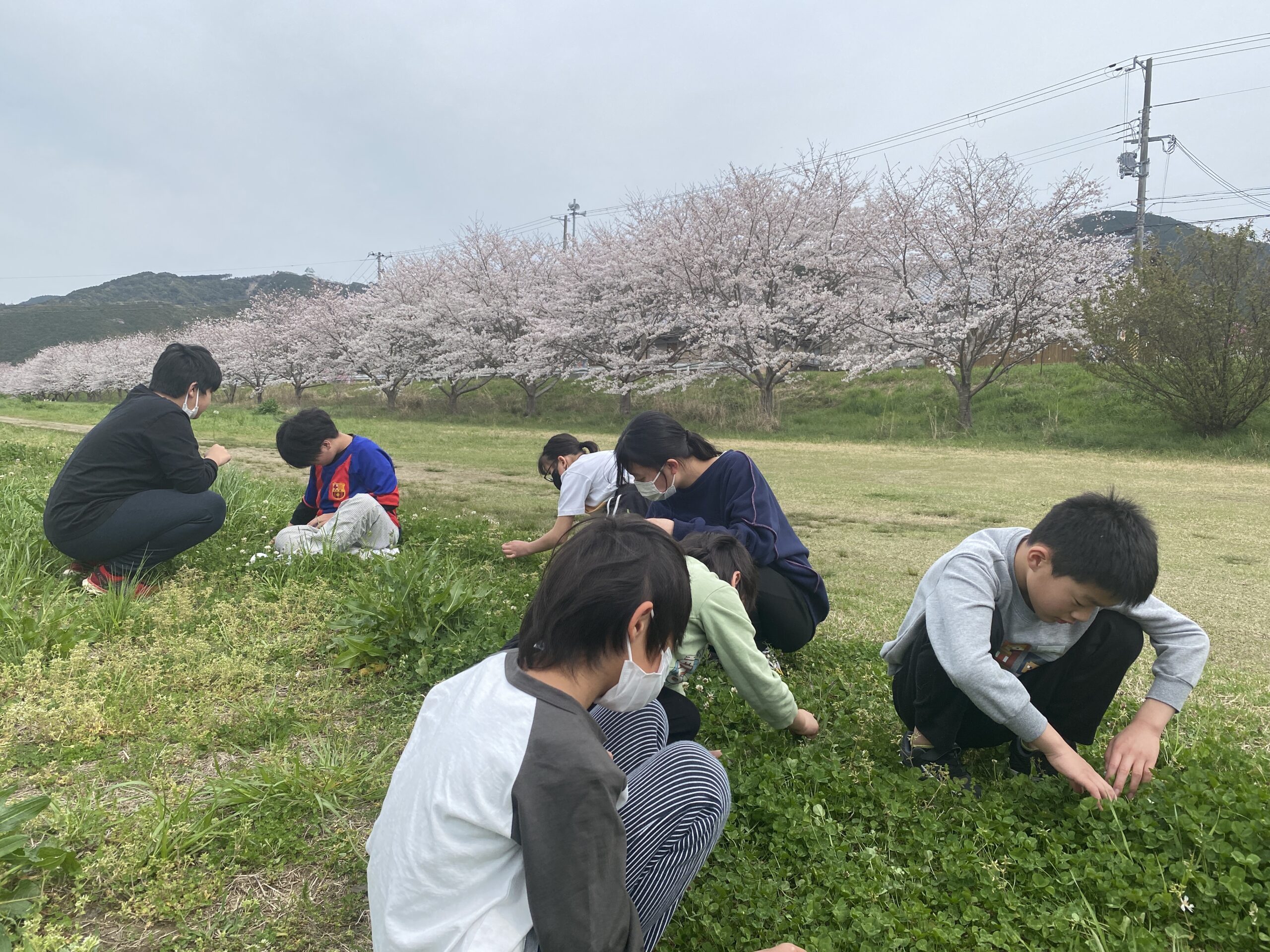 お花見をしたよ！