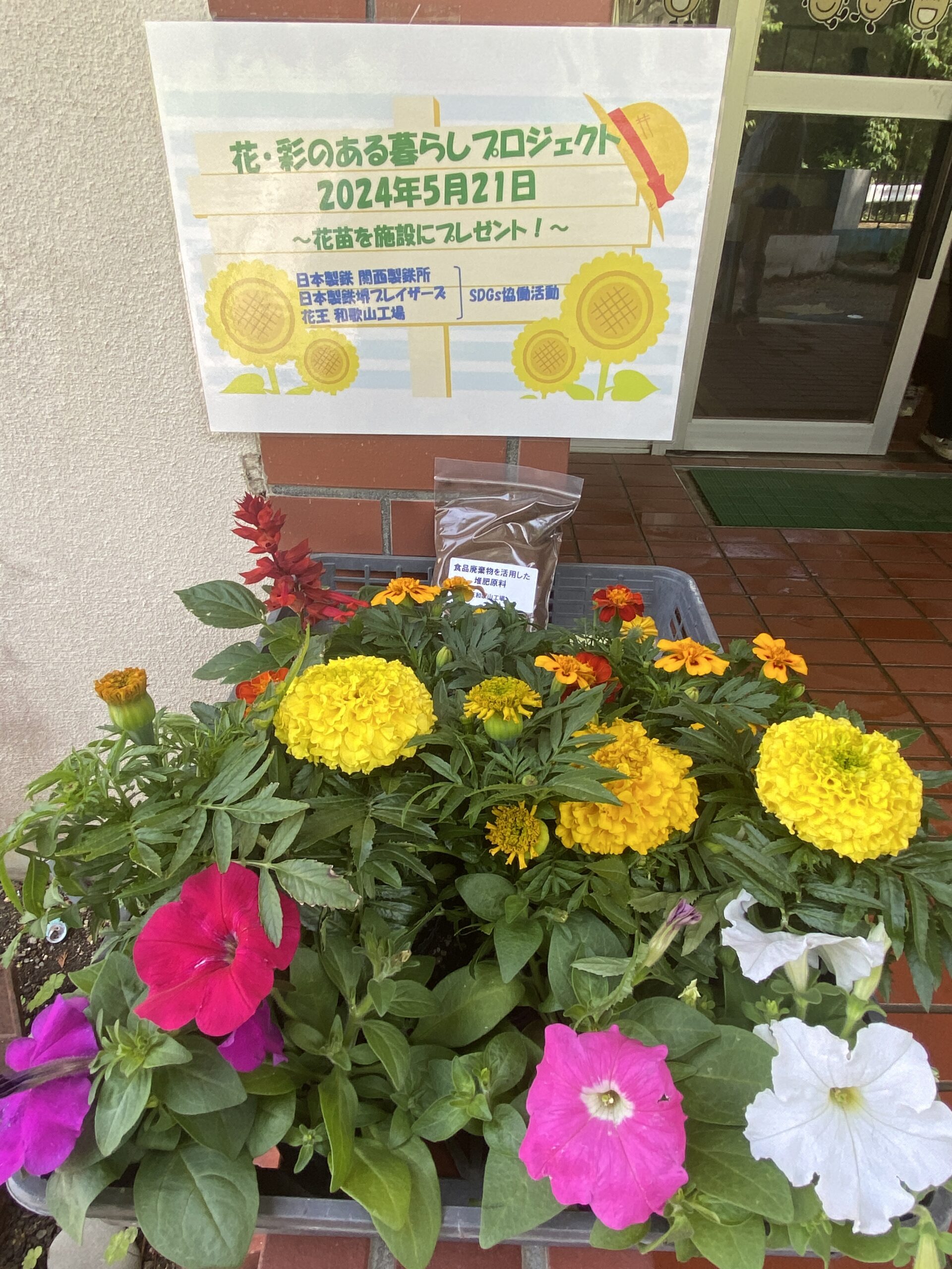 花の苗植えを行いました！