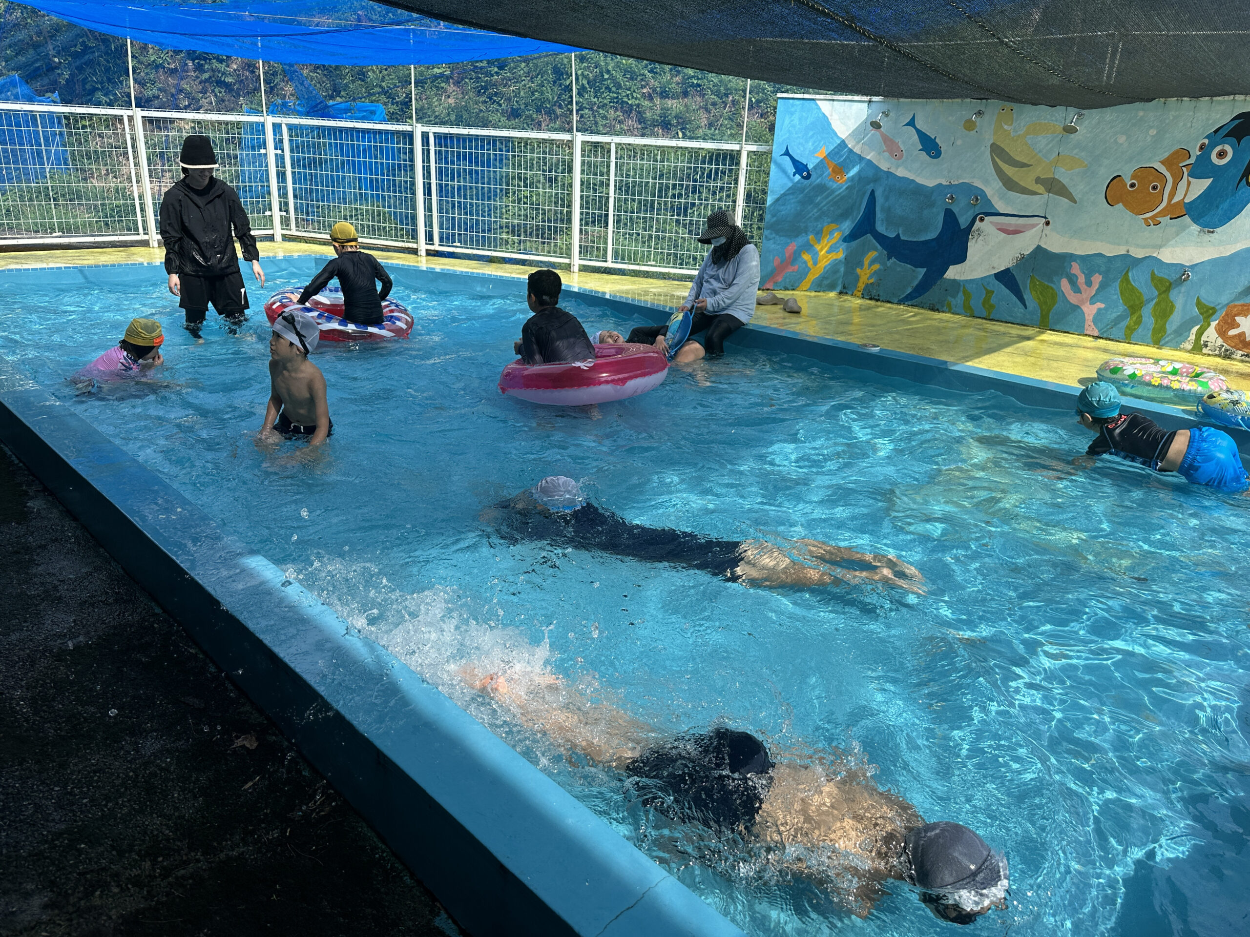 プールが始まりました🎐🏊