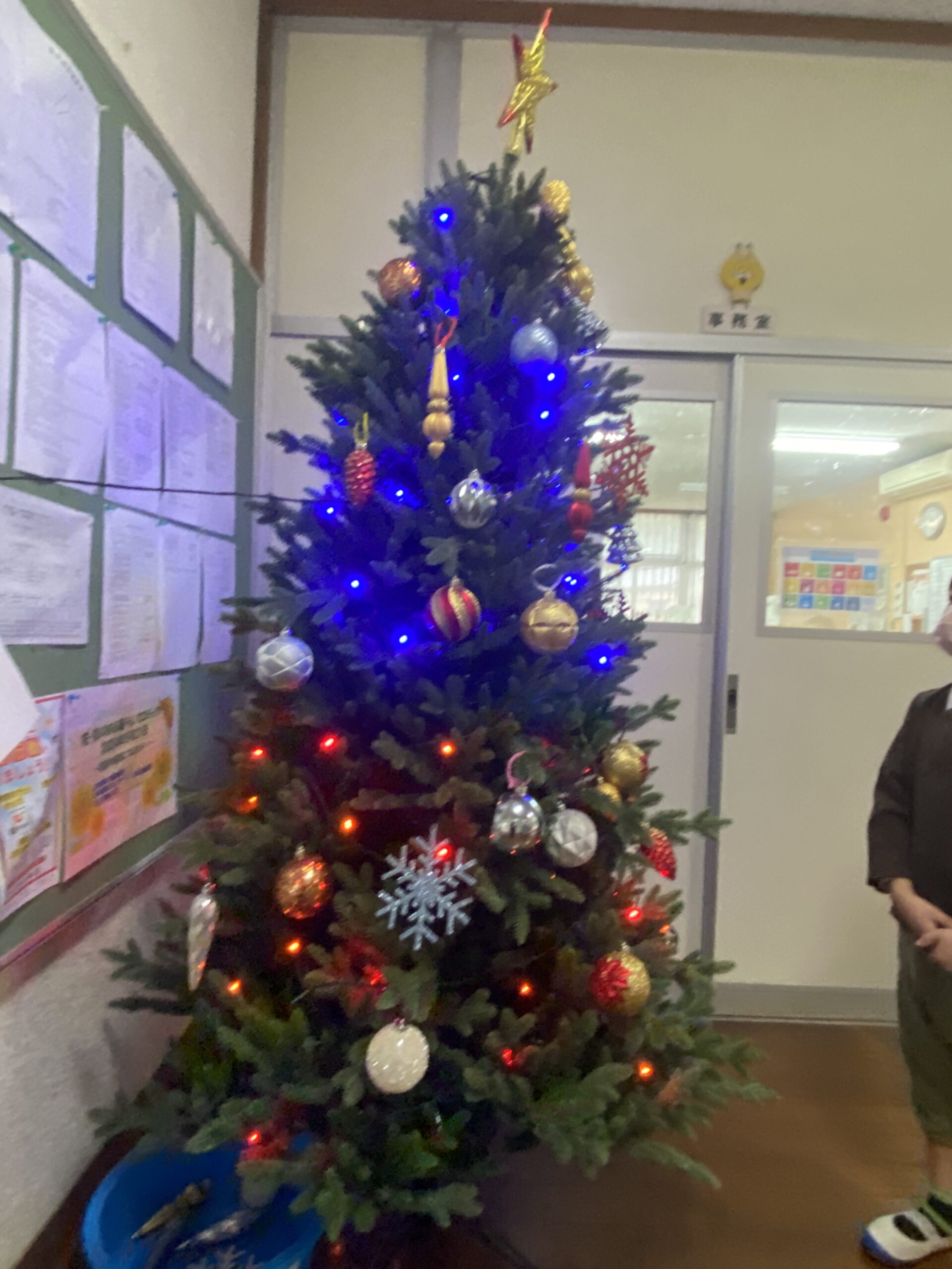 クリスマスツリーの飾りつけ🎄