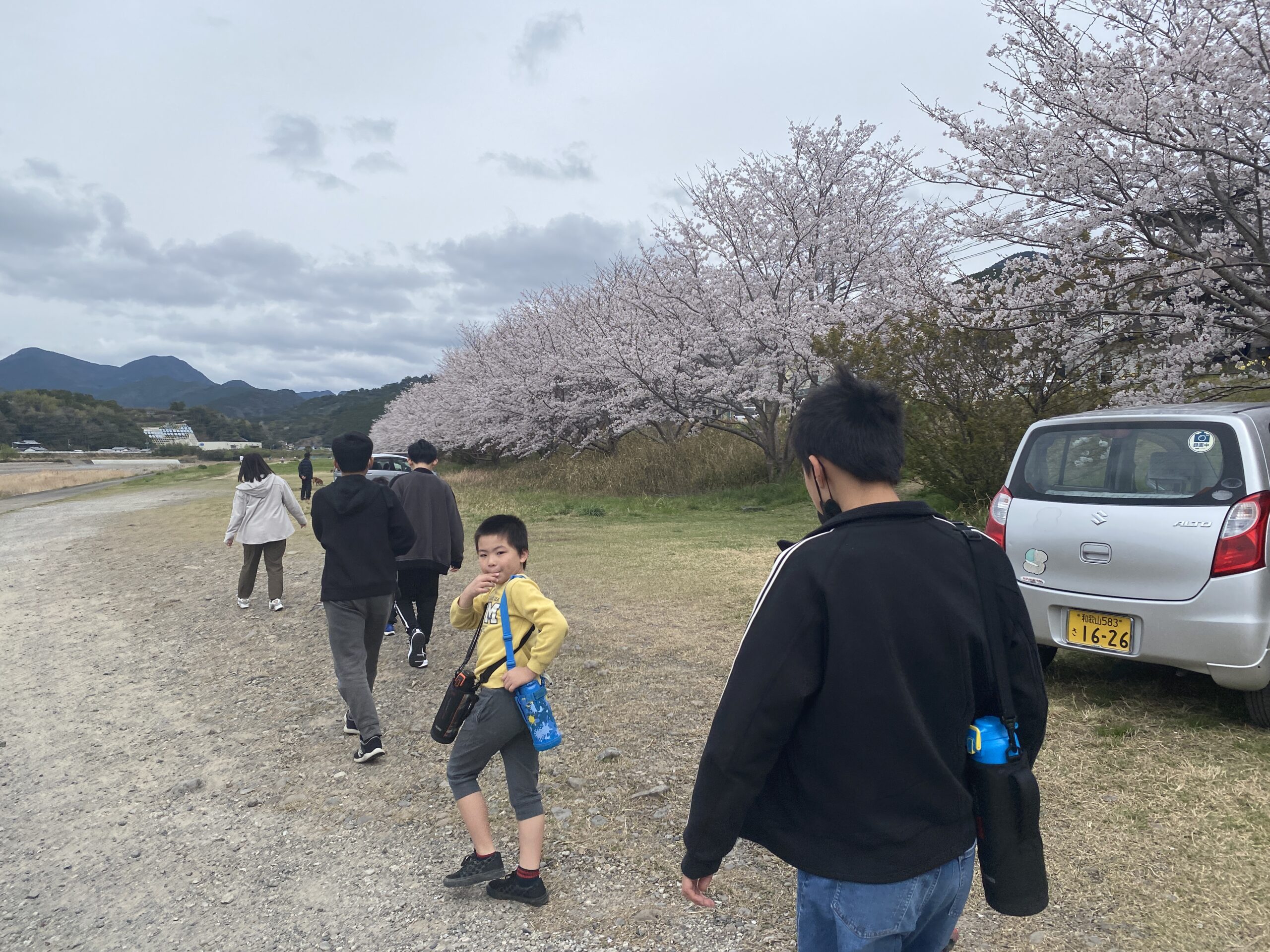 お花見に行ってきました。