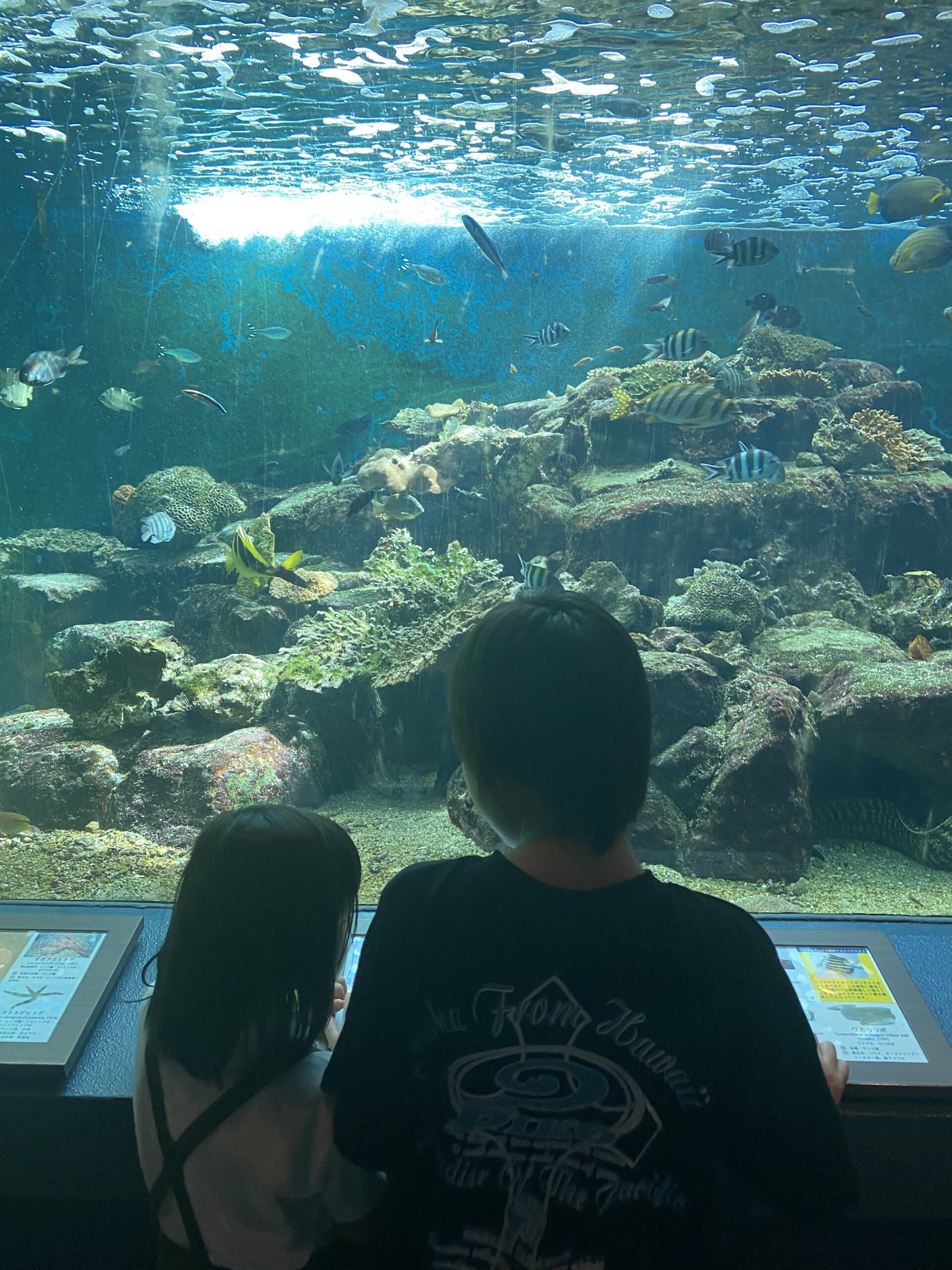 白浜水族館に行ってきました!