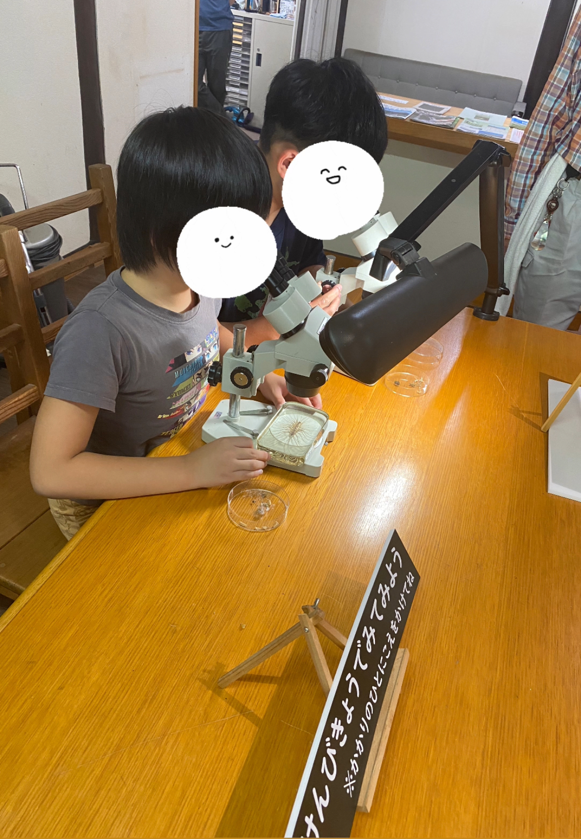 昆虫観察を楽しみました!