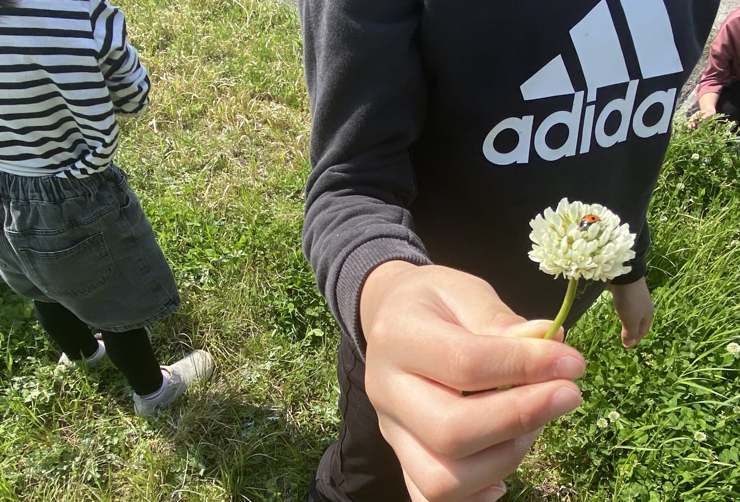 お花見にいったよ!