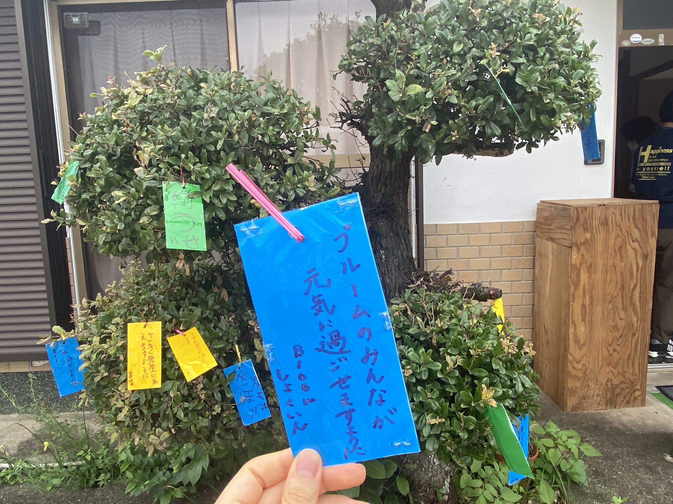 七夕のお願いごとをしたよ！